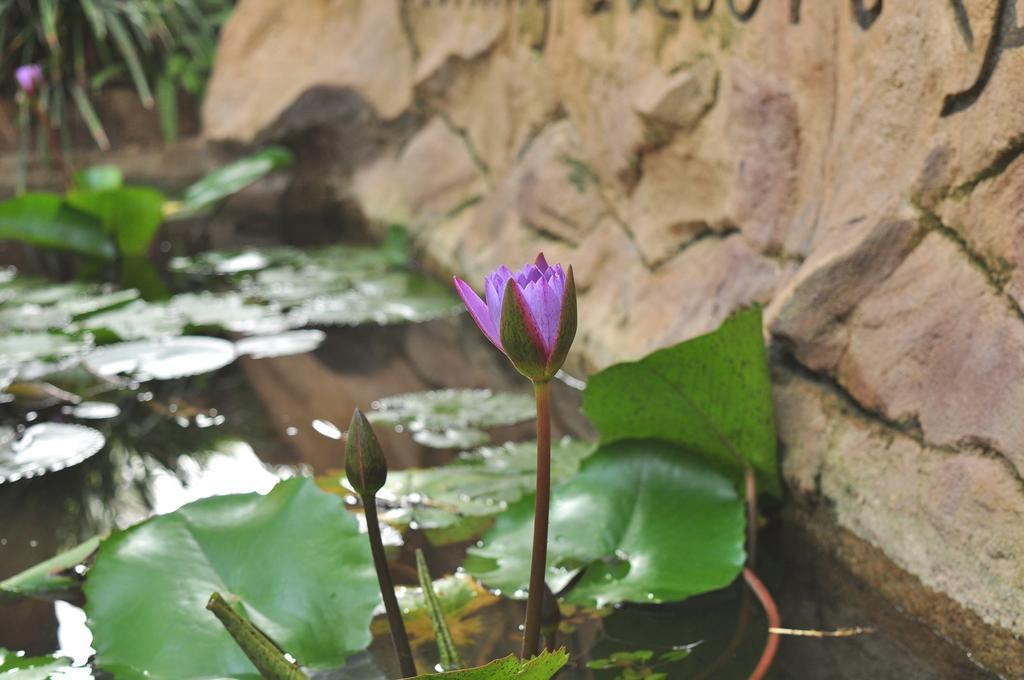 Soba Lanka Holiday Resort Melsiripura ภายนอก รูปภาพ