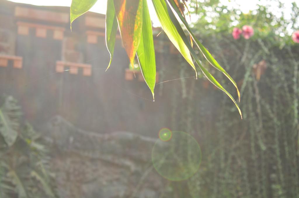 Soba Lanka Holiday Resort Melsiripura ภายนอก รูปภาพ