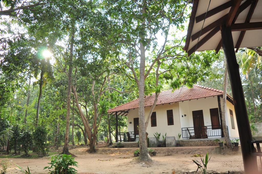 Soba Lanka Holiday Resort Melsiripura ภายนอก รูปภาพ