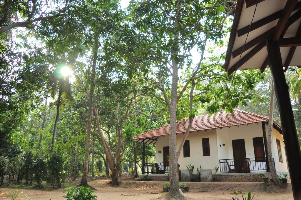 Soba Lanka Holiday Resort Melsiripura ภายนอก รูปภาพ