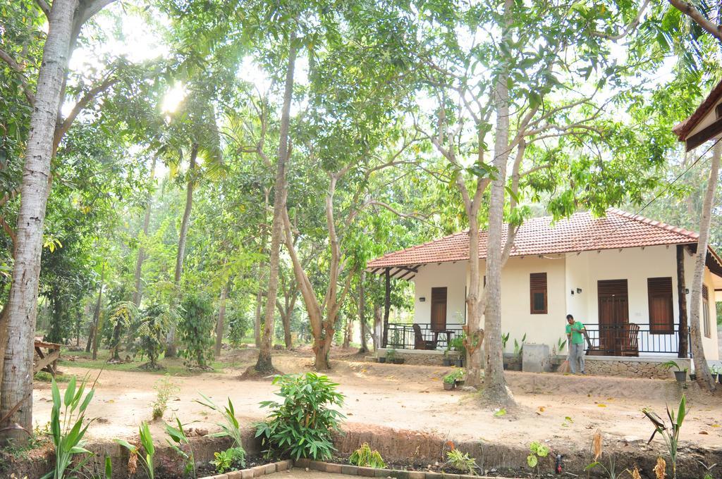 Soba Lanka Holiday Resort Melsiripura ภายนอก รูปภาพ