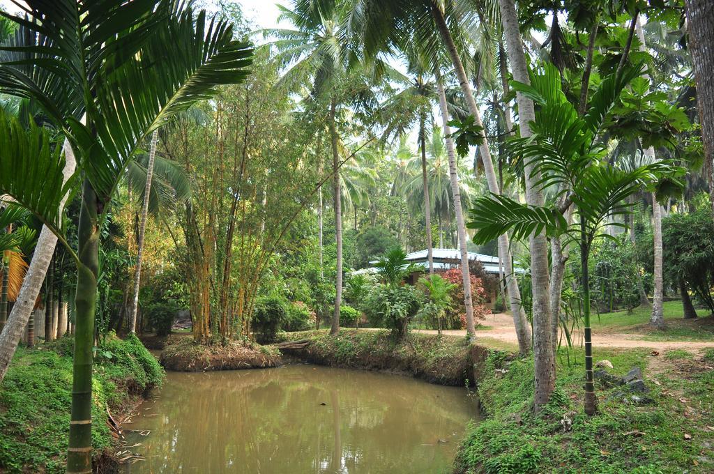 Soba Lanka Holiday Resort Melsiripura ภายนอก รูปภาพ