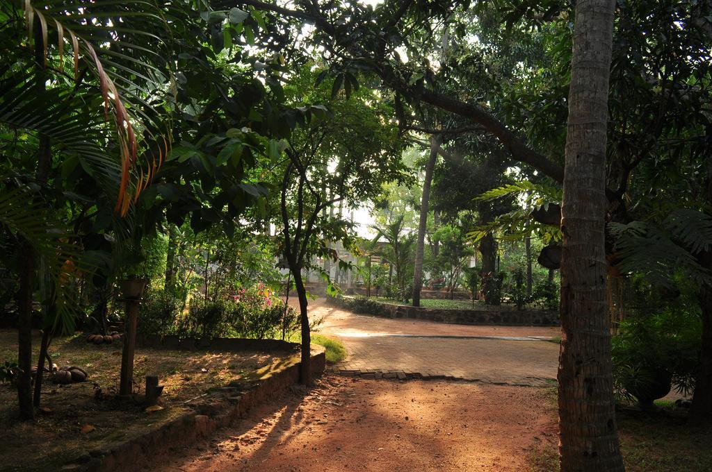 Soba Lanka Holiday Resort Melsiripura ภายนอก รูปภาพ