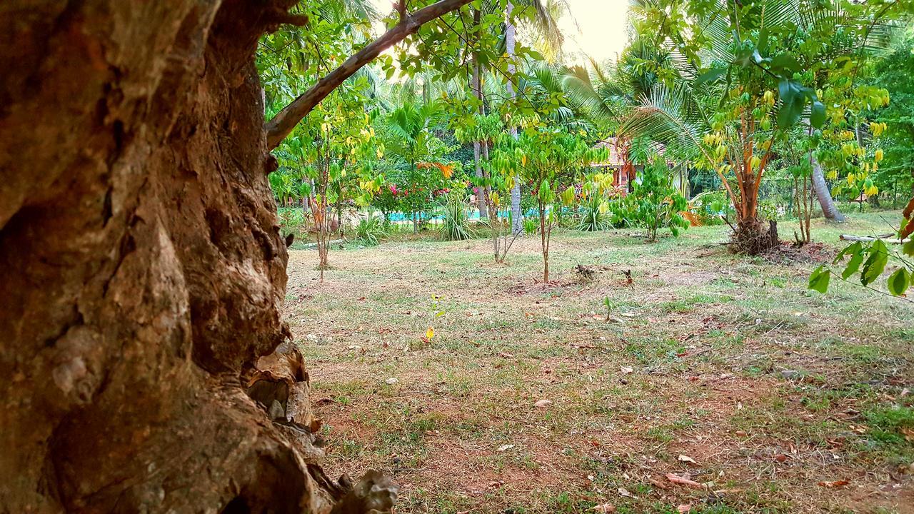 Soba Lanka Holiday Resort Melsiripura ภายนอก รูปภาพ