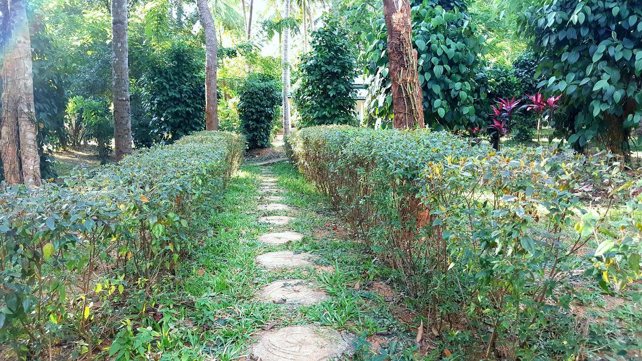 Soba Lanka Holiday Resort Melsiripura ภายนอก รูปภาพ