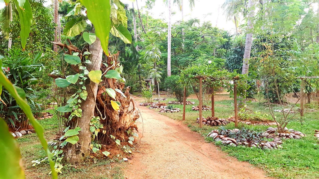 Soba Lanka Holiday Resort Melsiripura ภายนอก รูปภาพ