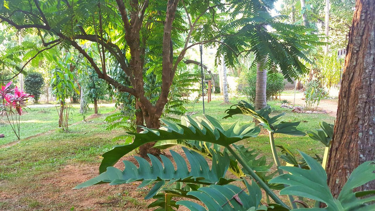 Soba Lanka Holiday Resort Melsiripura ภายนอก รูปภาพ