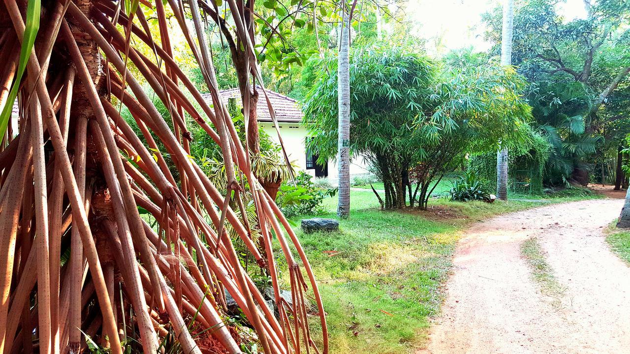 Soba Lanka Holiday Resort Melsiripura ภายนอก รูปภาพ