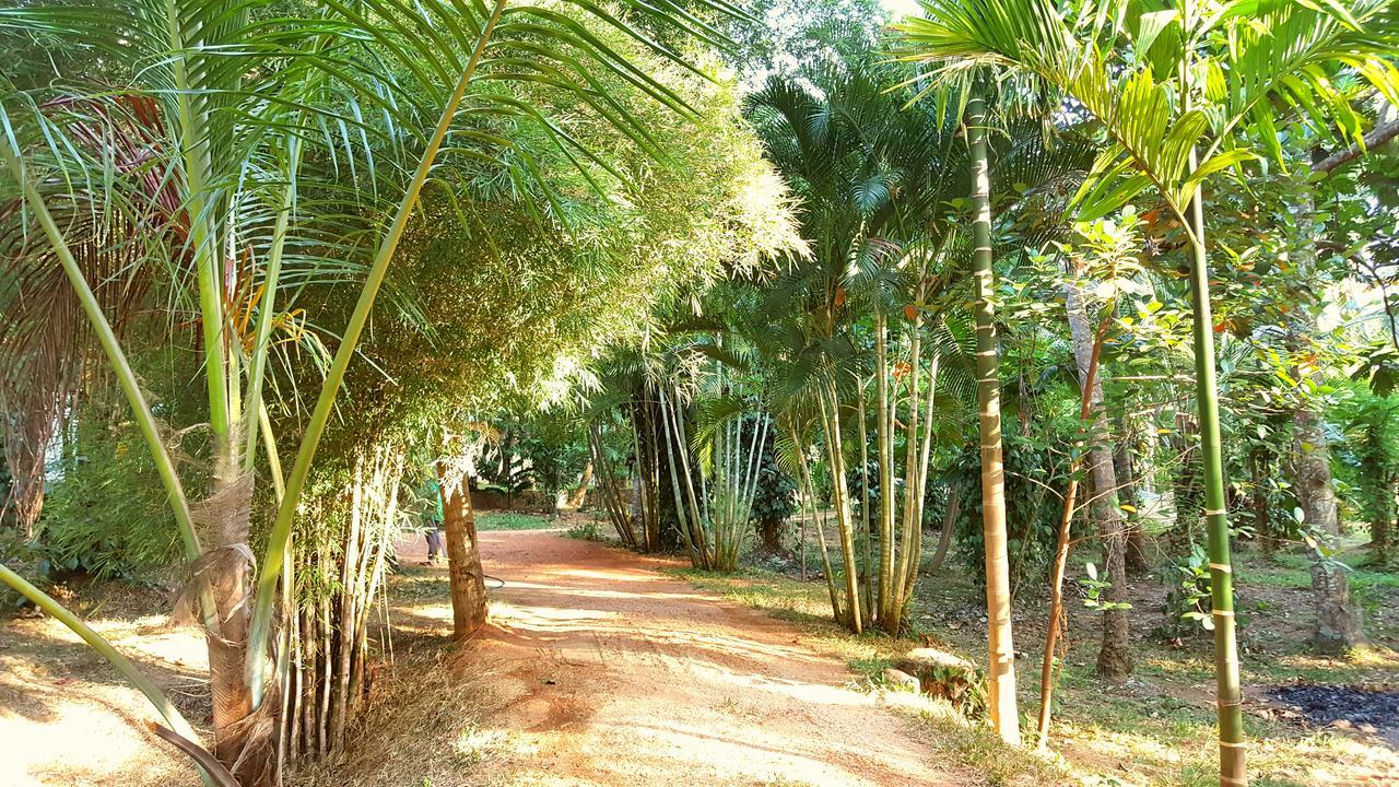 Soba Lanka Holiday Resort Melsiripura ภายนอก รูปภาพ