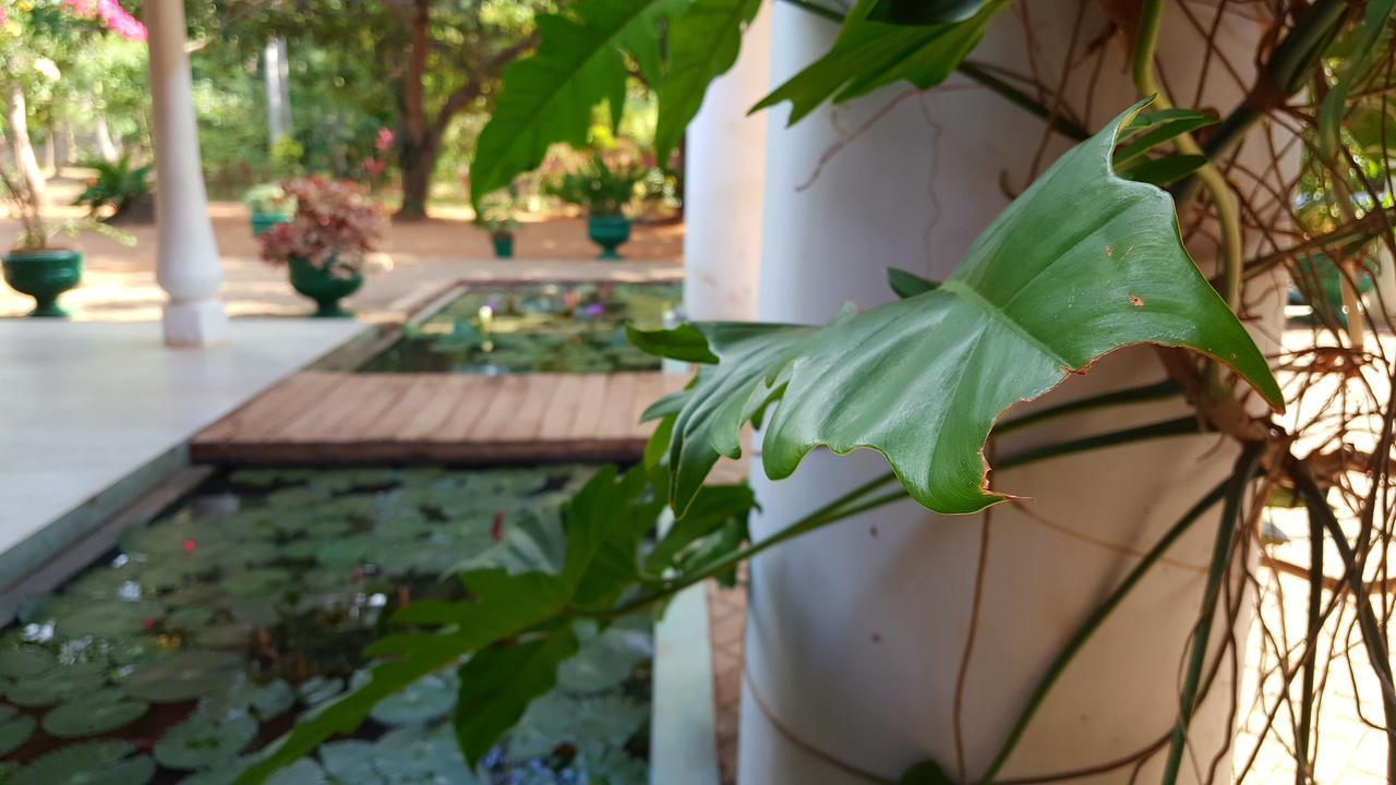 Soba Lanka Holiday Resort Melsiripura ภายนอก รูปภาพ