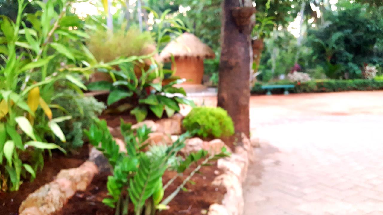 Soba Lanka Holiday Resort Melsiripura ภายนอก รูปภาพ