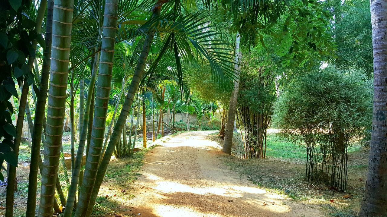 Soba Lanka Holiday Resort Melsiripura ภายนอก รูปภาพ
